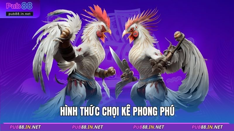 Hình thức chọi kê phong phú
