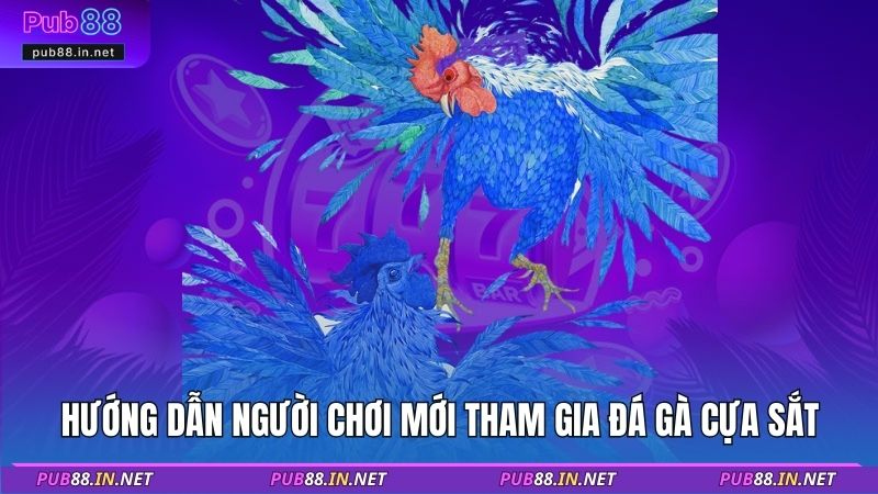 Hướng dẫn người chơi mới tham gia đá gà cựa sắt