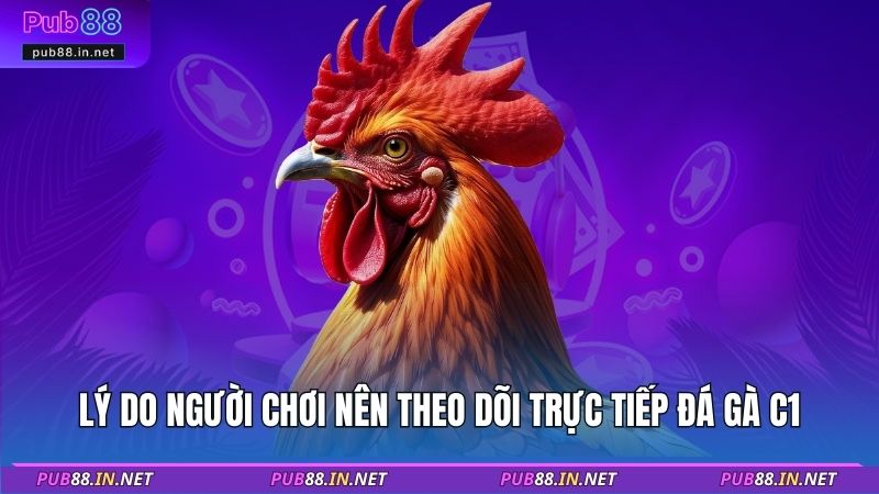 Lý do người chơi nên theo dõi trực tiếp đá gà C1
